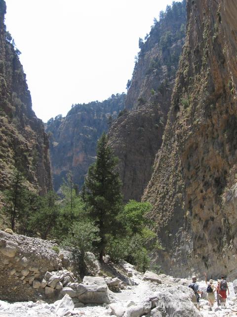 279 Schlucht