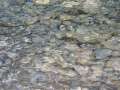 212 Klares Wasser