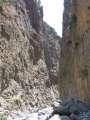 286 Schlucht