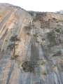 290 Steilwandb�ume