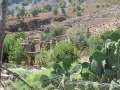 310 Ruine und Kaktus