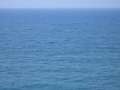 396 Meer