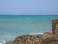 497 Insel Dia