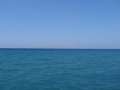 501 Insel Dia