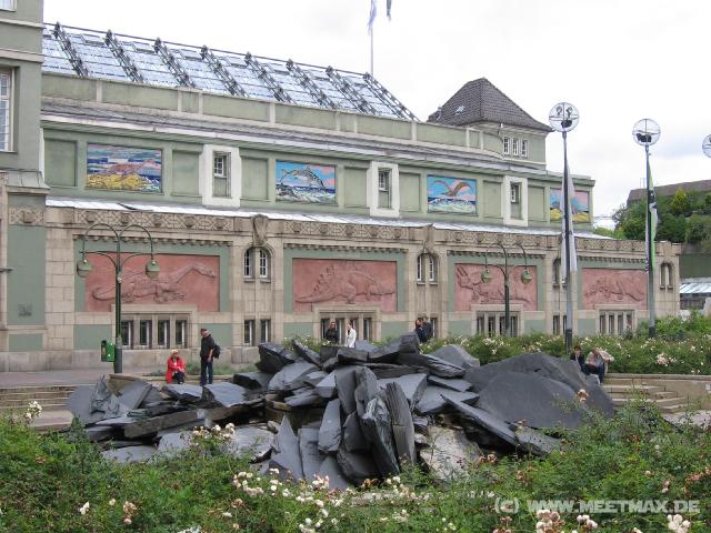 559 Dinos