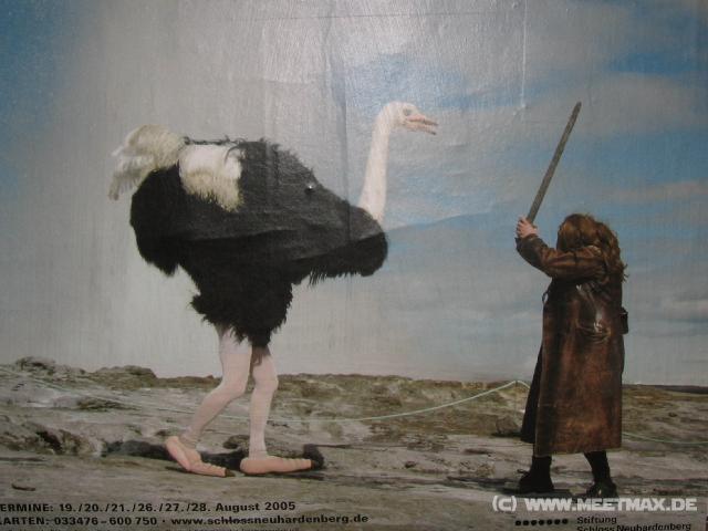 704 Poster