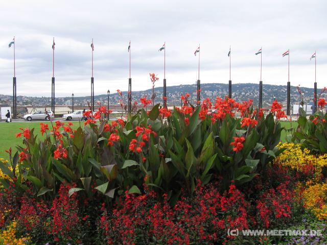 7045 Flaggen und Blumen