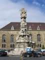 7051 Pests�ule