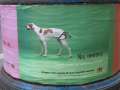 7142 Sauberer Hund