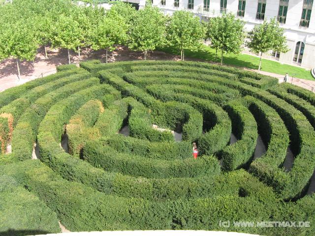 263 Labyrinth