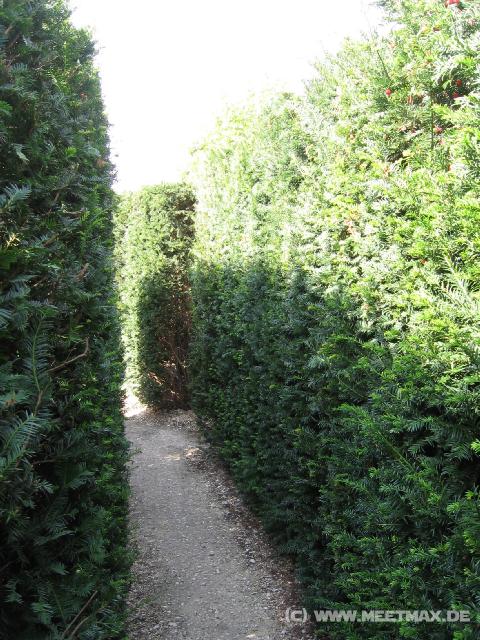 267 Labyrinth