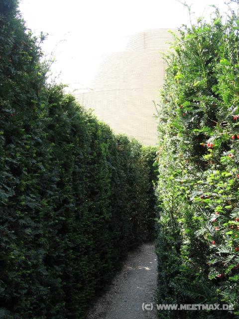 268 Labyrinth