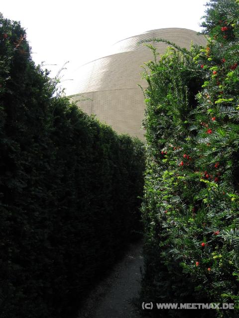 269 Labyrinth