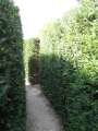 267 Labyrinth