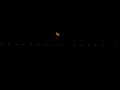 8220 Mond und Ponte Vasco da Gama