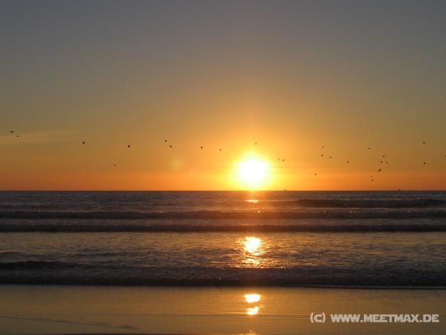 8278 Sonnenuntergang mit V�glen