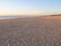 8273 Strand