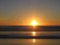 8278 Sonnenuntergang mit V�glen