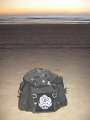 8290 Sondarucksack