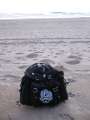 8291 Sondarucksack