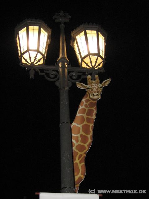 8325 Wildlife