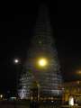 8344 Weihnachtsbaum