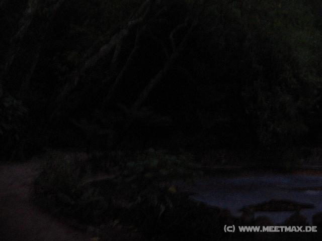 8392 Geisterwald