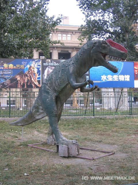 8588 Dino