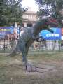 8588 Dino