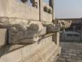 8658 Drachenk�pfe
