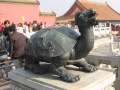 8661 Schildkr�tenvieh