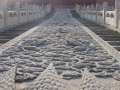 8689 Riesenrelief