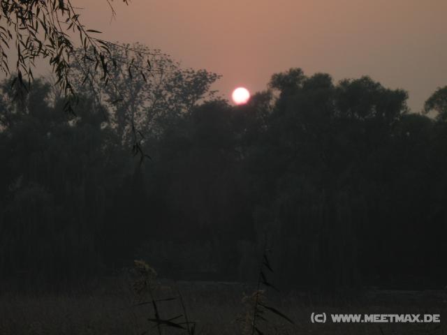 8894 Sunset