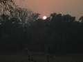 8894 Sunset