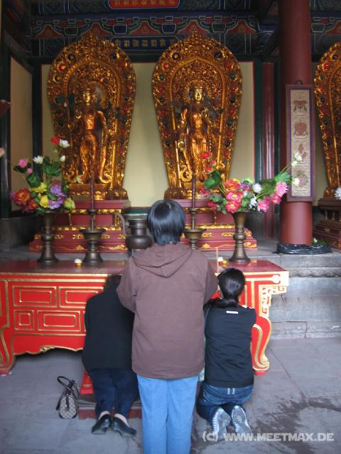 8972 Lama-Tempel