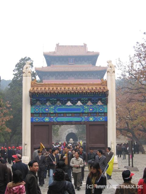9108 Ming-Grab