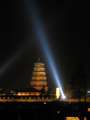 9391 Big Goose Pagoda