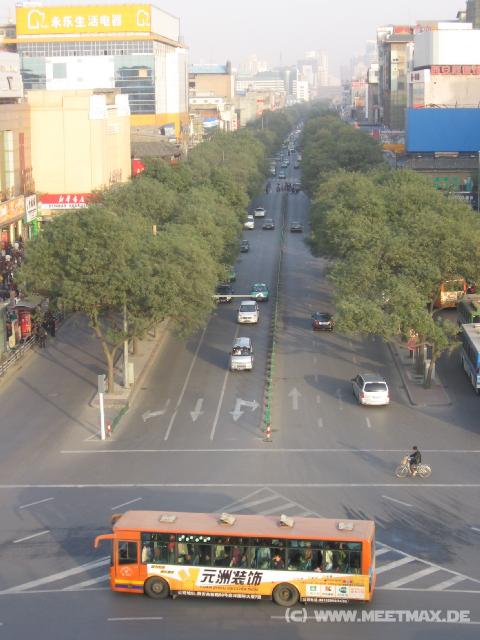 9479 Allee