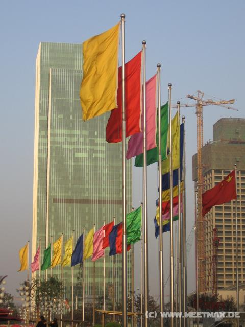9563 United Colors