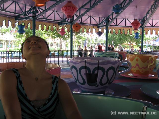 9776 Mad Hatter Teacups