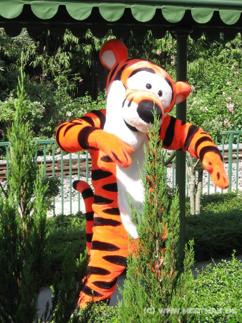9780 Tigger