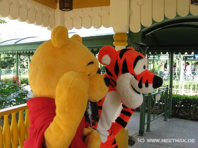 9784 Pu und Tigger