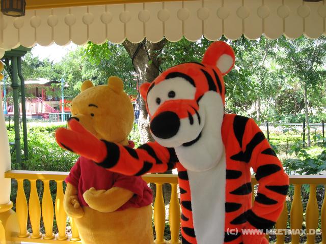 9787 Pu und Tigger