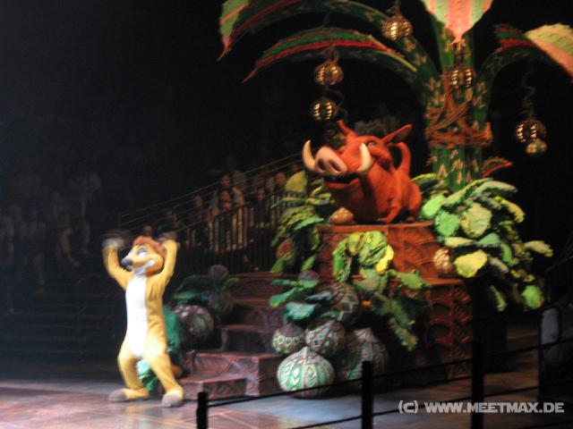 9829 Lion King Show