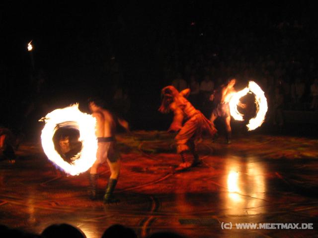 9831 Lion King Show