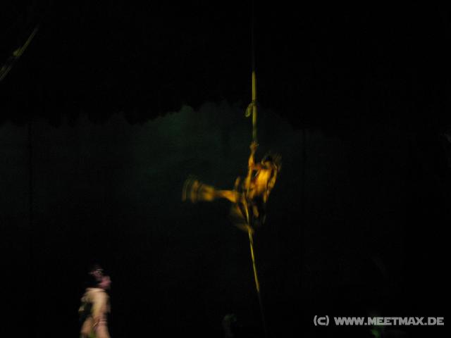 9881 The Golden Mickeys Tarzan