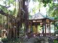 0052 Lou Lim Ioc Garden