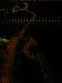 0118 Macau by Night
