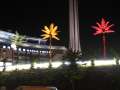 0149 Bunte Palmen