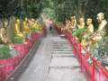 0171 10000-Buddhas-Kloster